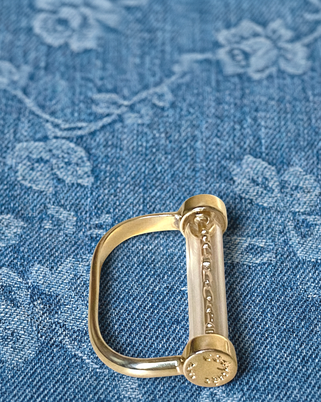 Bague double Passeport Chance
